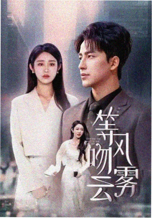 女性成长职场剧北京女子图鉴剧照